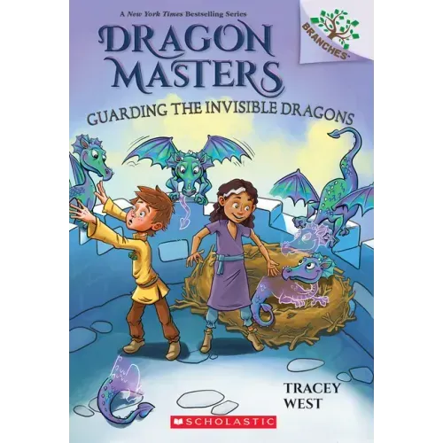 Guarding the Invisible Dragons: A Branches Book (Dragon Masters #22) - Paperback