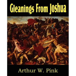Gleanings from Joshua - Paperback