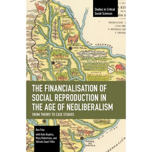 The Financialisation of Social Reproduction in the Age of Neoliberalism: From Theory to Case Studies - Paperback