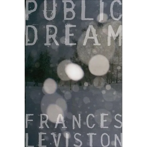 Public Dream - Paperback