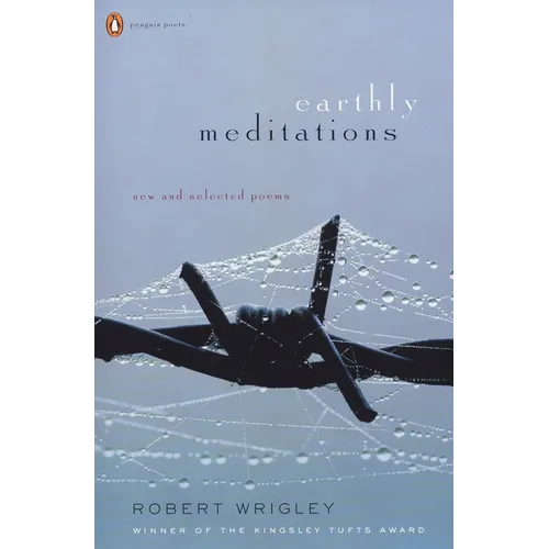 Earthly Meditations: New and Selected Poems - Paperback