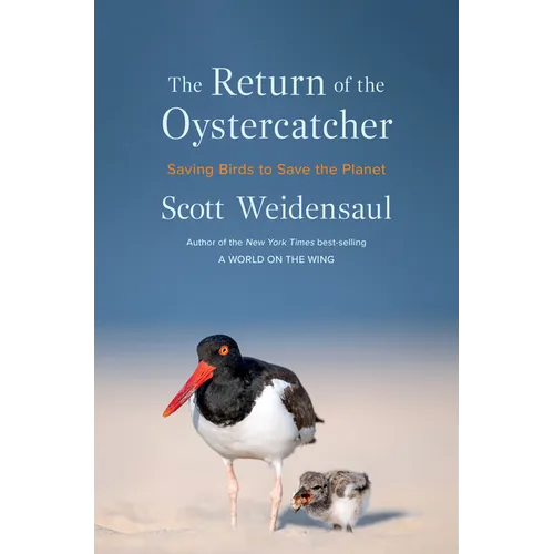 The Return of the Oystercatcher: Saving Birds to Save the Planet - Hardcover