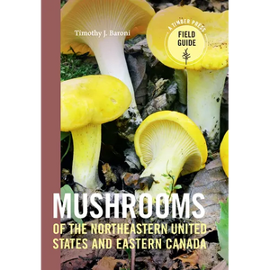 Mushrooms of the Northeastern United States and Eastern Canada - Paperback