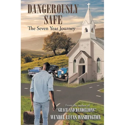 Dangerously Safe: The Seven Year Journey - Paperback