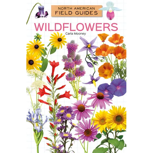 Wildflowers - Library Binding
