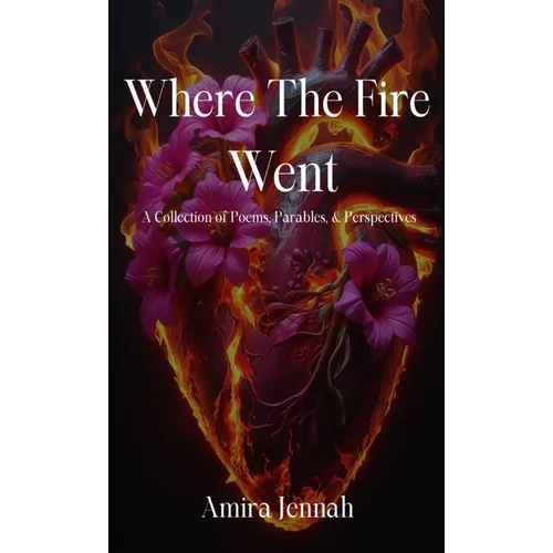 Where The Fire Went - Paperback