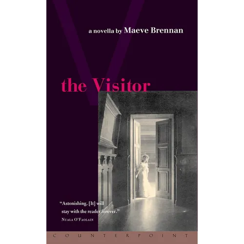 The Visitor - Paperback