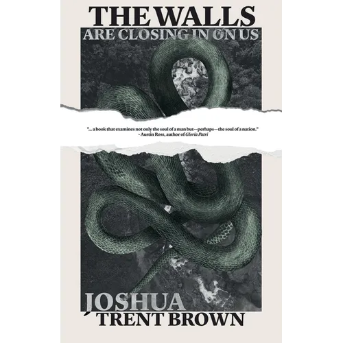 The Walls Are Closing In On Us - Paperback