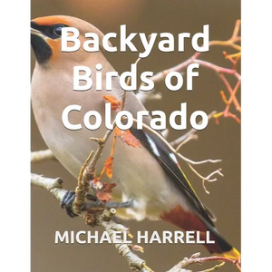Backyard Birds of Colorado - Paperback