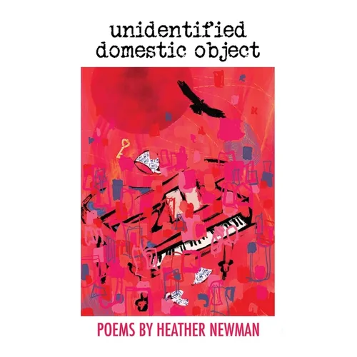 unidentified domestic object - Paperback