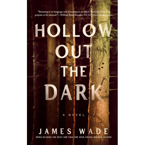 Hollow Out the Dark - Paperback