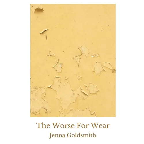 The Worse For Wear - Paperback