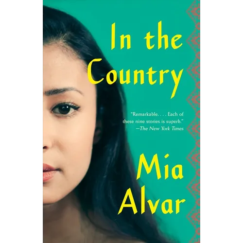 In the Country: Stories - Paperback