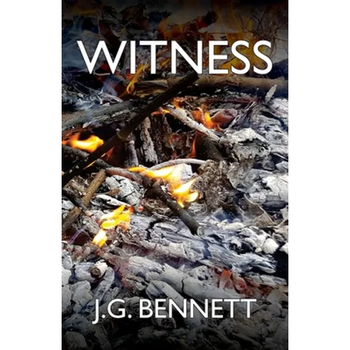 Witness: The Story of a Search - Paperback