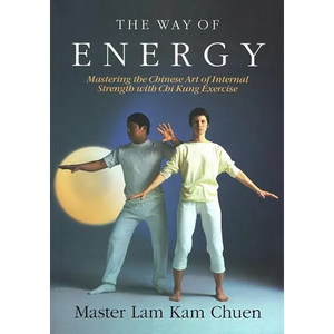 The Way of Energy: A Gaia Original - Paperback