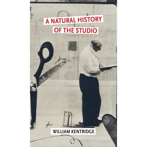 A Natural History of the Studio - Hardcover