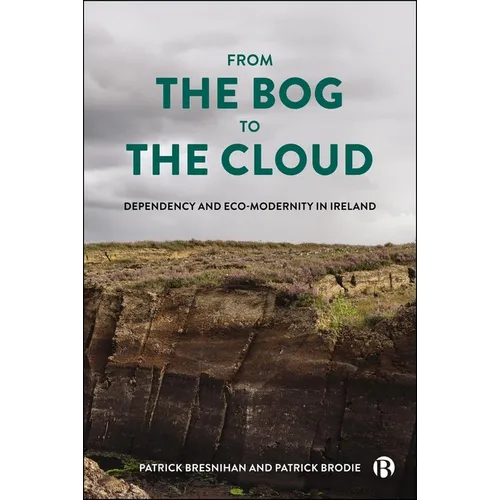 From the Bog to the Cloud: Dependency and Eco-Modernity in Ireland - Paperback