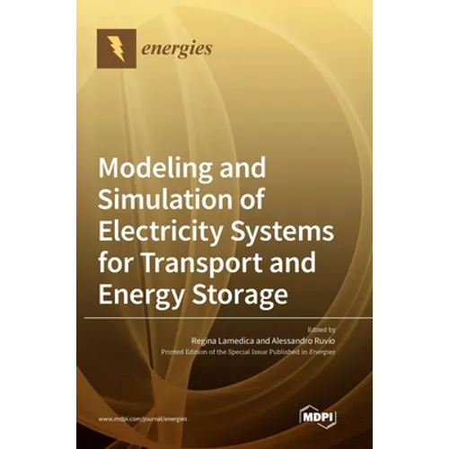 Modeling and Simulation of Electricity Systems for Transport and Energy Storage - Hardcover
