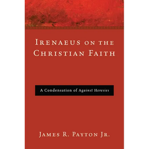Irenaeus on the Christian Faith - Hardcover