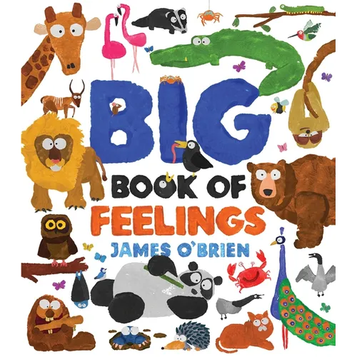 Big Book of Feelings - Hardcover