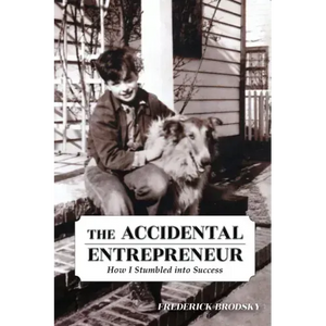 The Accidental Entrepreneur: How I Stumbled into Success - Paperback
