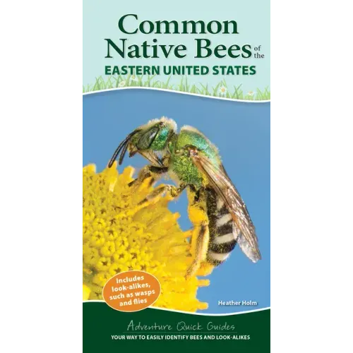 Common Native Bees of the Eastern United States: Your Way to Easily Identify Bees and Look-Alikes - Spiral