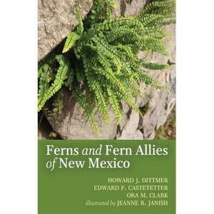 The Ferns and Fern Allies of New Mexico - Paperback