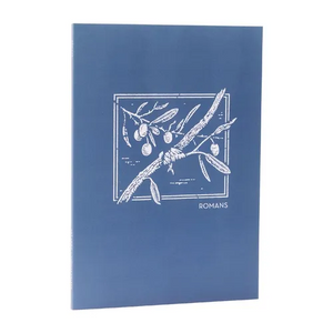 Net Abide Bible Journal - Romans, Paperback, Comfort Print: Holy Bible - Paperback