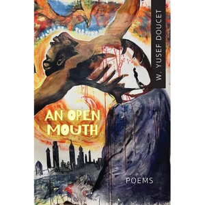 An Open Mouth - Paperback