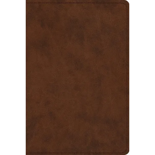 Study Bible-ESV-Personal Size - Imitation Leather