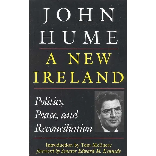 A New Ireland - Paperback