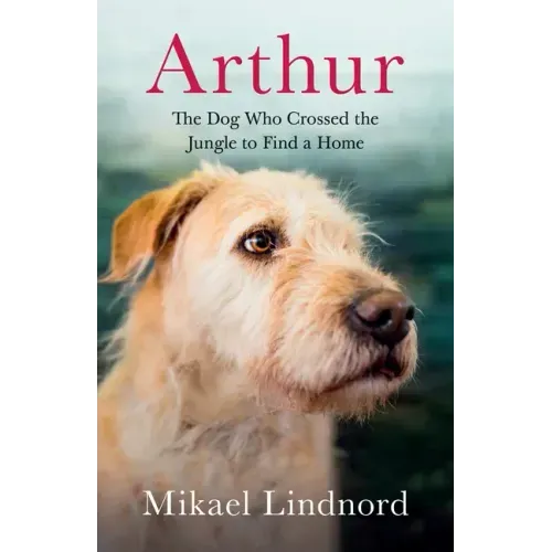 Arthur: The Dog Who Crossed the Jungle to Find a Home - Paperback