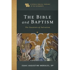 The Bible and Baptism: The Fountain of Salvation - Paperback