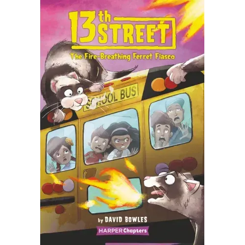 13th Street #2: The Fire-Breathing Ferret Fiasco - Paperback