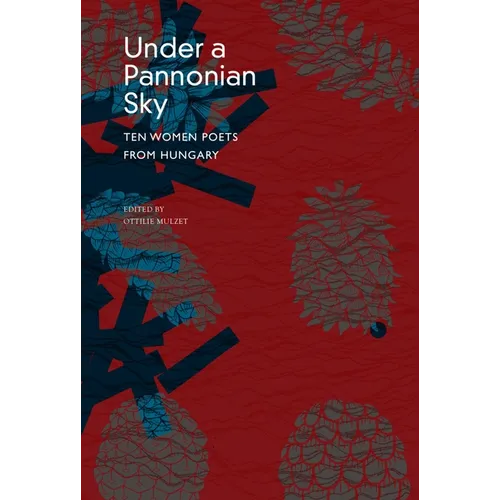 Under a Pannonian Sky: Ten Women Poets from Hungary - Paperback