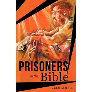 Prisoners in the Bible - Paperback