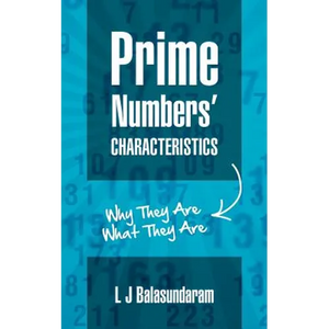 Prime Numbers' Characteristics: Why They Are What They Are. - Paperback