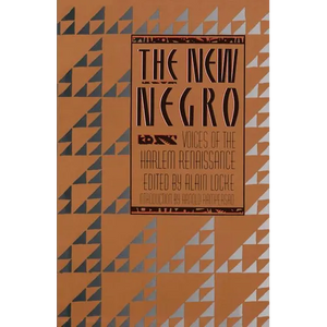 The New Negro - Paperback