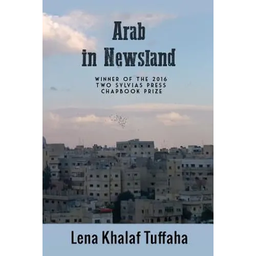 Arab In Newsland - Paperback