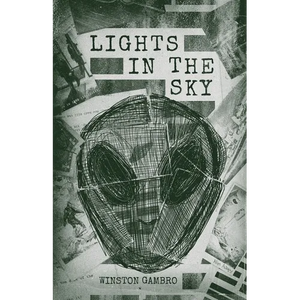 Lights in the Sky - Paperback
