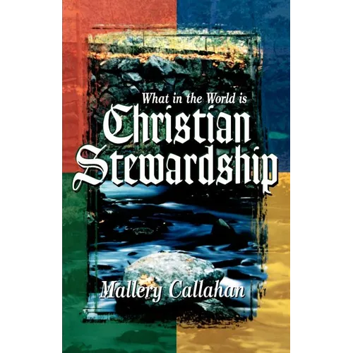 What in the World is Christian Stewardship - Paperback