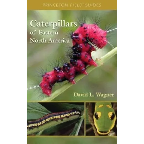 Caterpillars of Eastern North America: A Guide to Identification and Natural History - Paperback