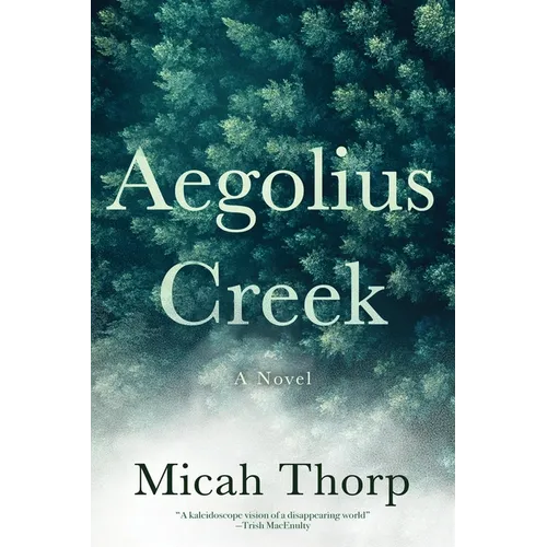 Aegolius Creek - Paperback
