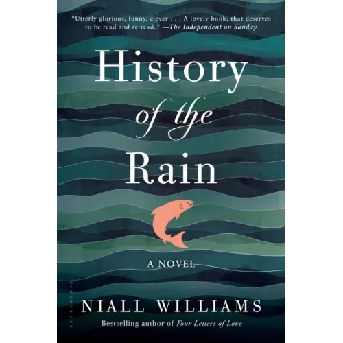 History of the Rain - Paperback