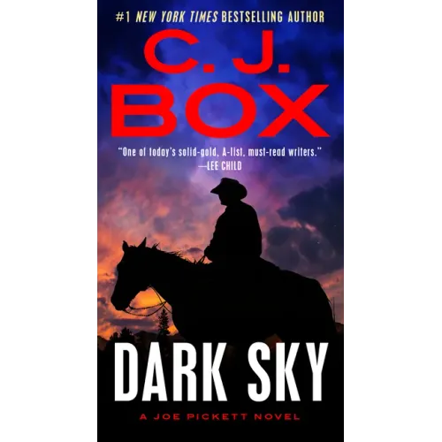 Dark Sky - Paperback
