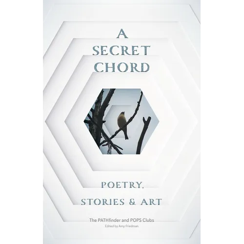 A Secret Chord: Poetry, Stories & Art - Paperback