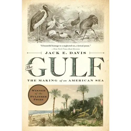 The Gulf: The Making of an American Sea - Paperback