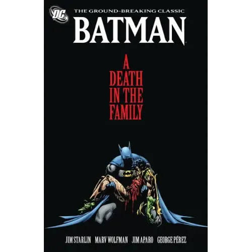 A Death in the Family - Paperback