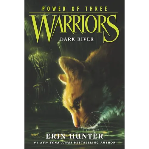 Warriors: Power of Three #2: Dark River - Paperback