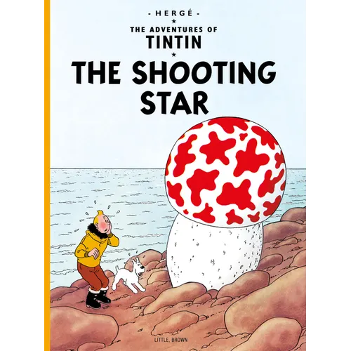 The Shooting Star - Paperback